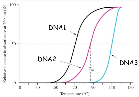 In the figure, the hyperchromicity (increase in the | Chegg.com