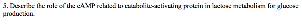 Solved 5. Describe the role of the cAMP related to | Chegg.com