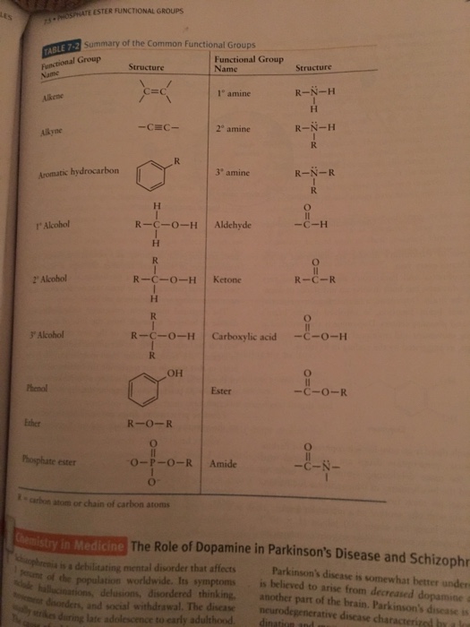 Solved What are the functional group names for each of the | Chegg.com