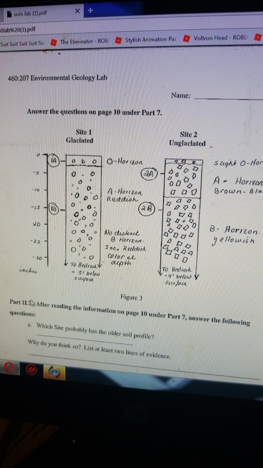 Solved 460207 Environmental Geology Lab Name Answer the
