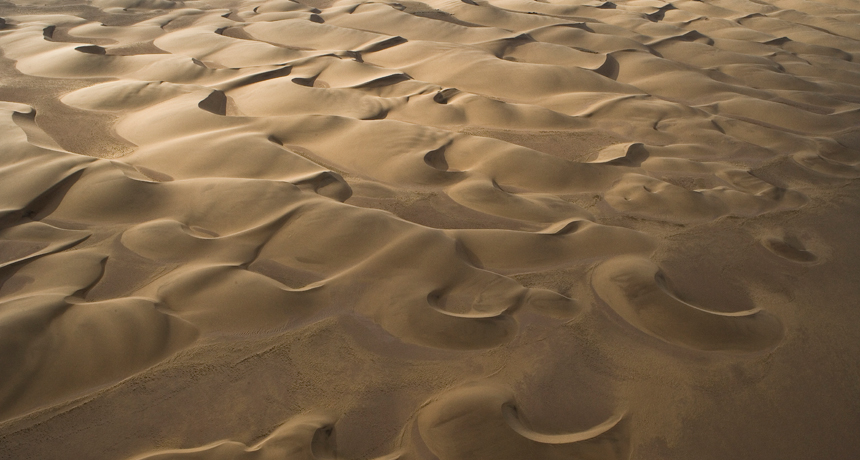 Solved 1- What Is The Main Kind Of Sand Dunes In This Image | Chegg.com