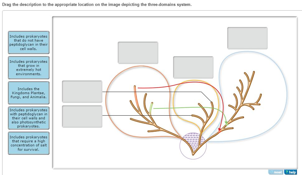 solved-part-a-the-three-domain-system-the-basics-the-chegg