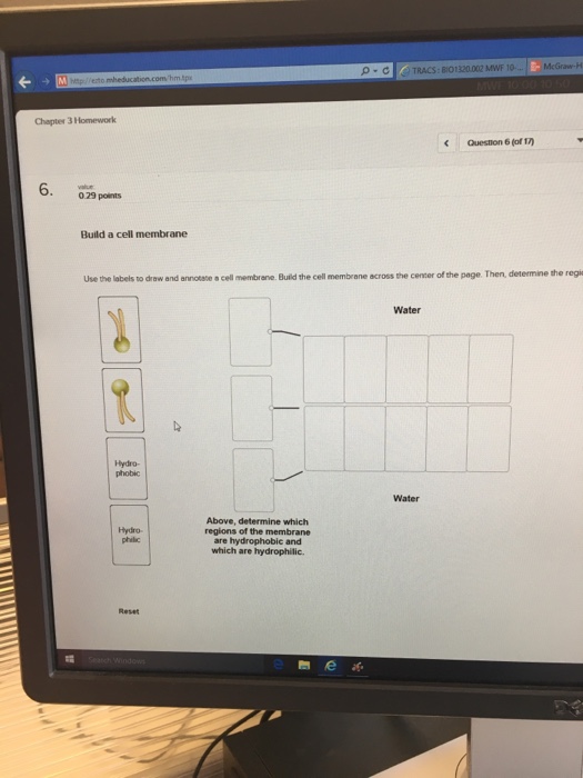 Solved Use labels to draw and annotate a cell membrane.