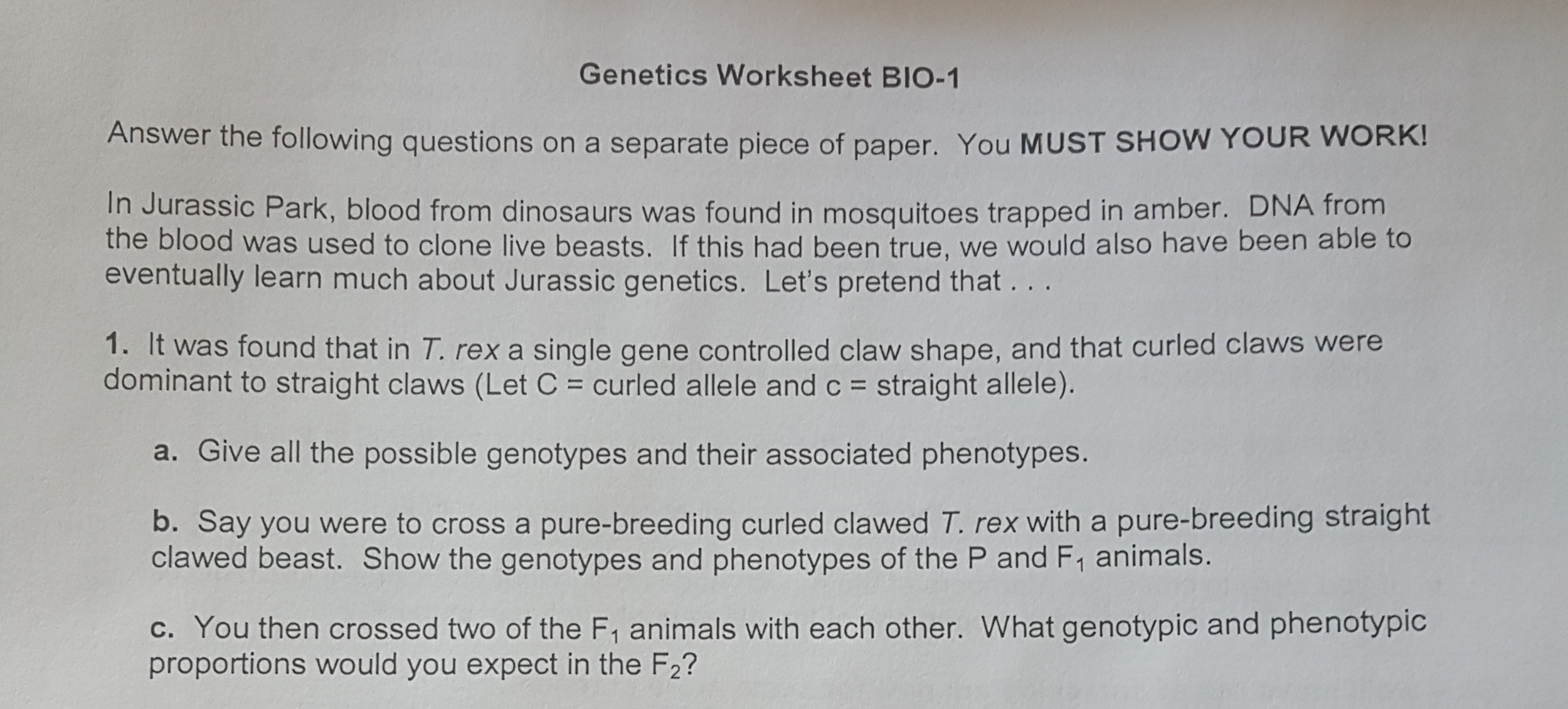 37 Biology Genetics Worksheet Answers
