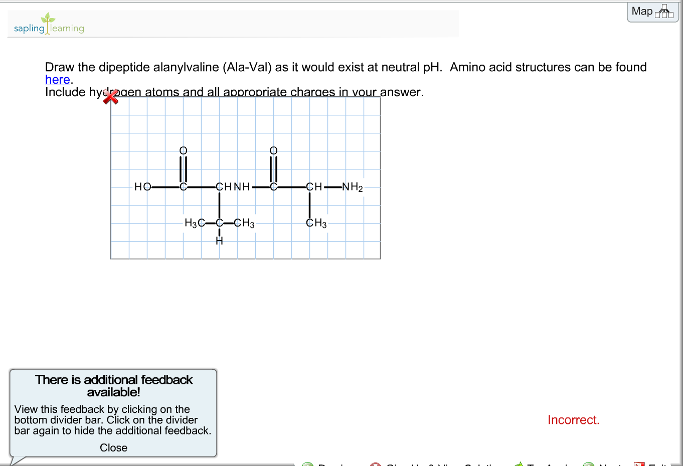 Solved Draw The Dipeptide Alanyvaline (Alaval) As It Wou