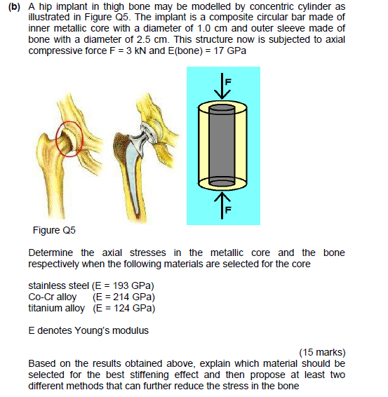 Solved (b) A hip implant in thigh bone may be modelled by