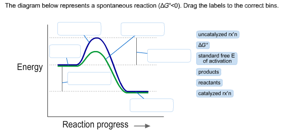 Solved The diagram below represents a spontaneous reaction | Chegg.com