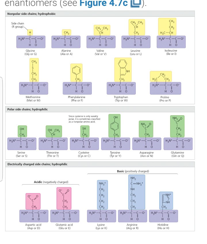 Solved enantiomers (see Figure 4./c L Nonpolar side chains; | Chegg.com