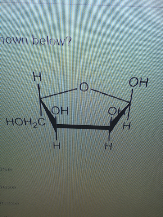 Solved What is the name of this structure? | Chegg.com