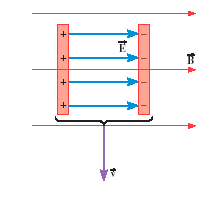 Solved The drawing shows a parallel plate capacitor that is | Chegg.com