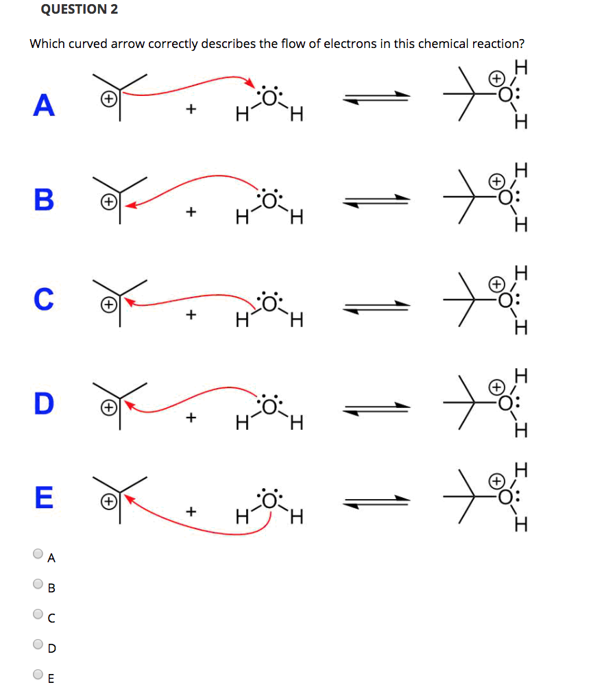 Solved QUESTION 1 Which carbocation is the most stable? | Chegg.com