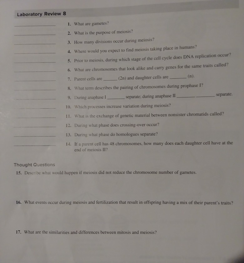 solved-laboratory-review-8-1-what-are-gametes-2-what-is-chegg