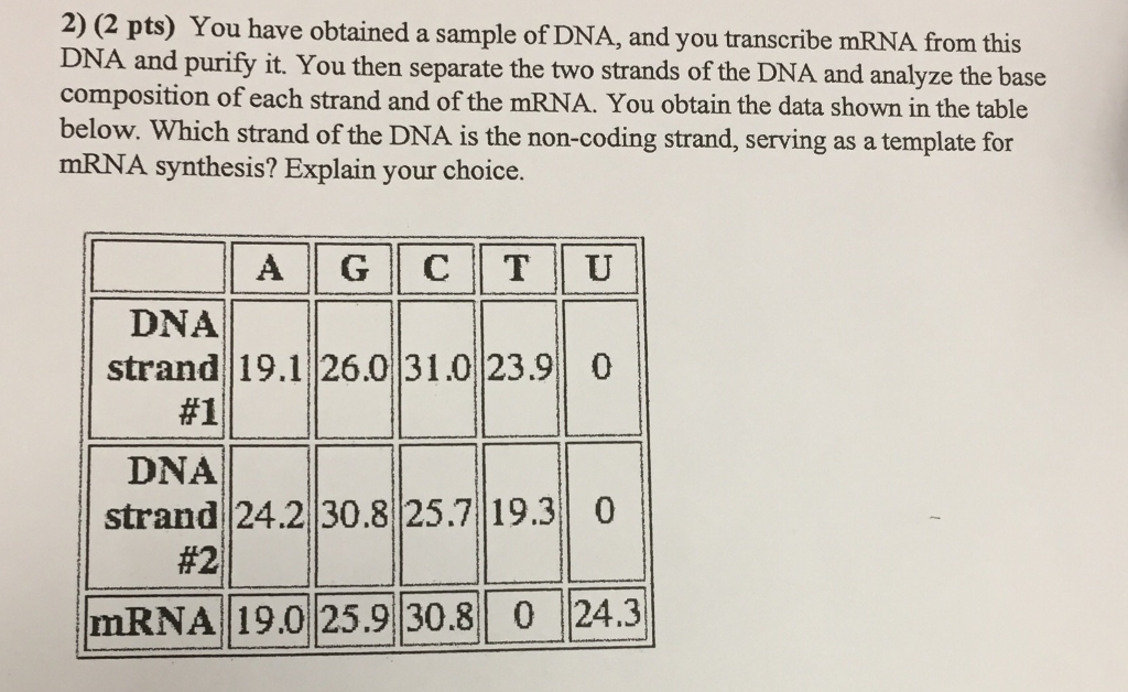 Solved 2) (2 pts) You have obtained a sample of DNA, and you | Chegg.com