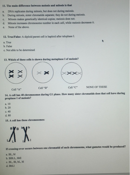 Solved The main difference between meiosis and mitosis it | Chegg.com