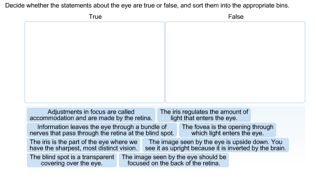 Solved Decide whether the statements about the eye are true | Chegg.com