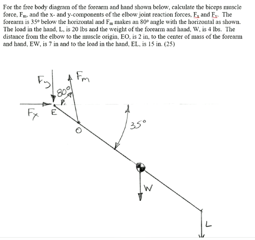 Solved For the free body diagram of the forearm and hand | Chegg.com