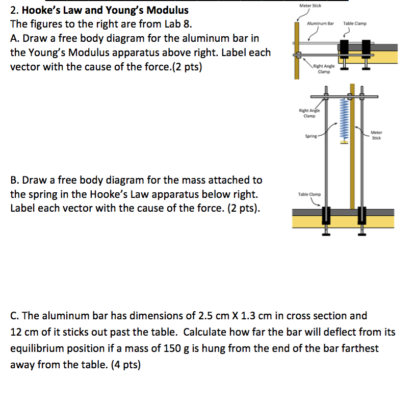 Solved Meter Stick 2. Hooke's Law and Young's Modulus The