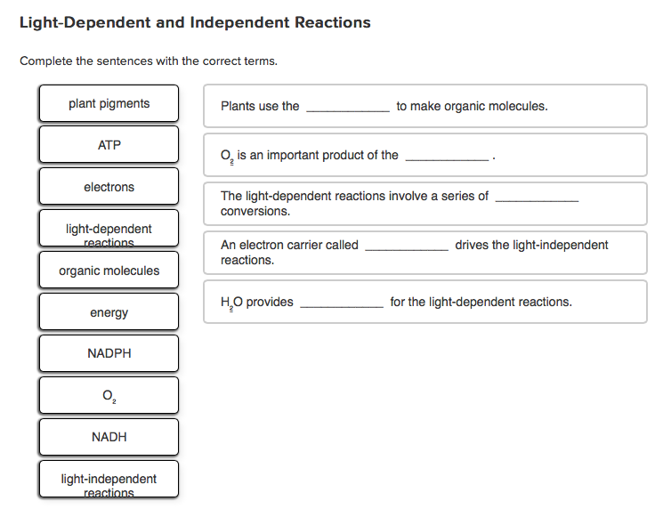 Solved Complete the sentences with the correct terms. Plants