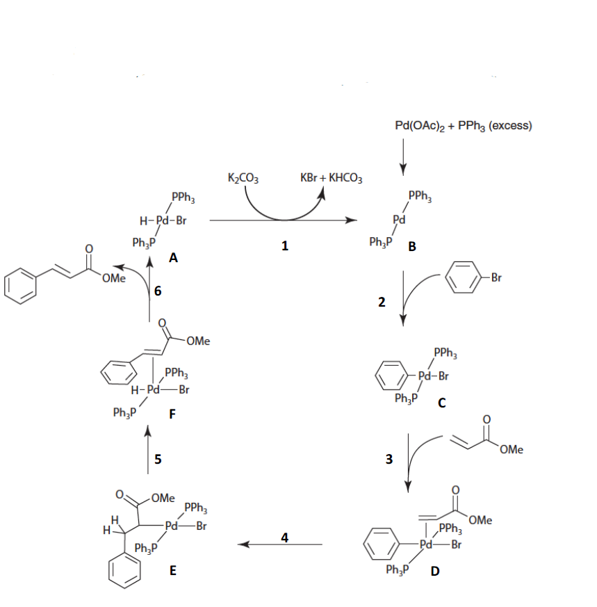 Solved The Catalytic Cycle Below Describes A Typical Heck Chegg Solved The Catalytic Cycle Below Describes A Typical Heck Chegg