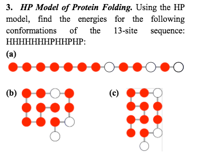 Solved HP Model Of Protein Folding. Using The HP Model, Find | Chegg.com