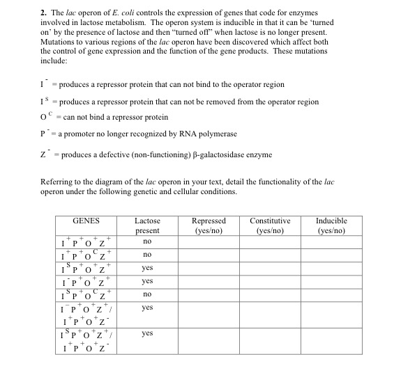 Solved The lac operon of E. coli controls the expression of | Chegg.com