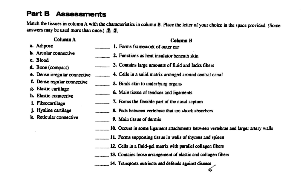 Solved Part B Assessments Match The Tissues In Column A With | Chegg.com