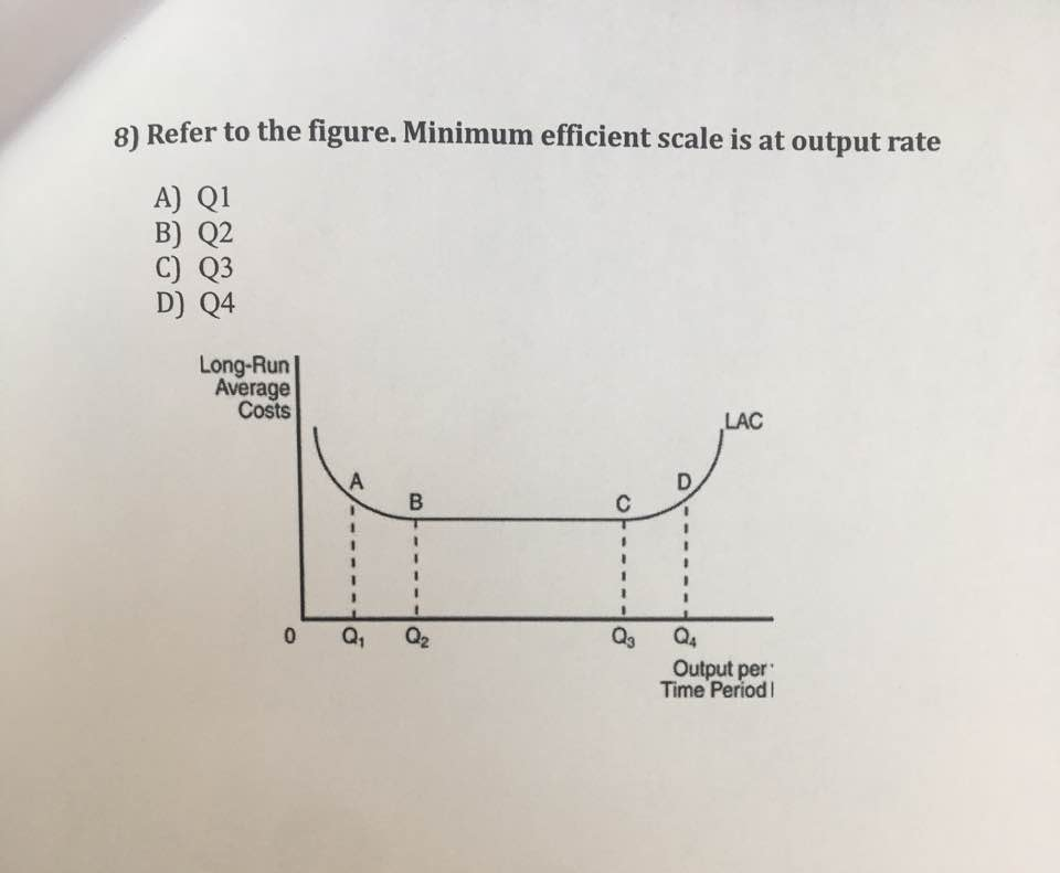 Minimum Efficient Scale