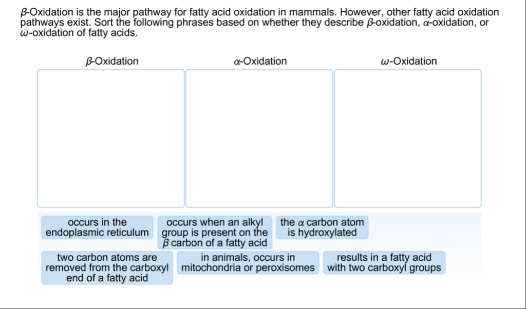 Solved Beta Oxidation is the major pathway for fatty acid Chegg