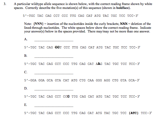 3. A particular wildtype allele sequence is shown | Chegg.com