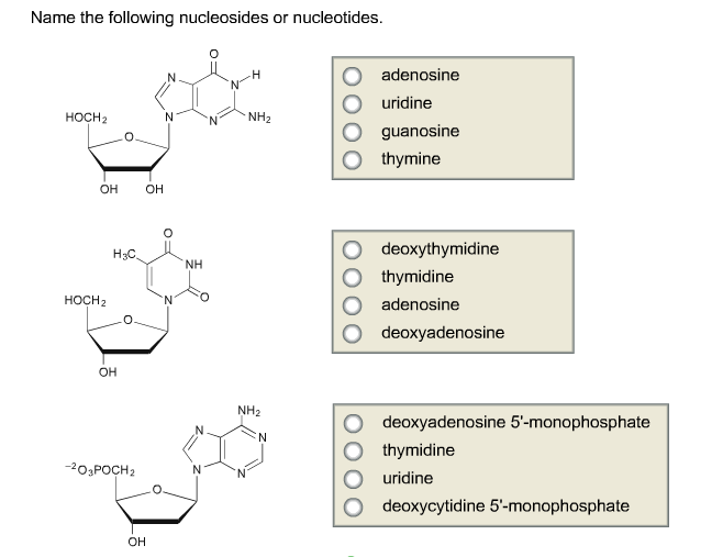 Solved Name the following nucleosides or nucleotides. | Chegg.com