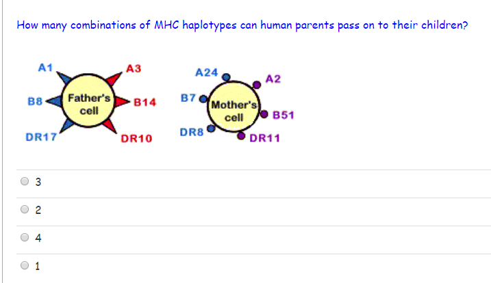 Solved Question 9 Which genes code for Class II MHC proteins | Chegg.com
