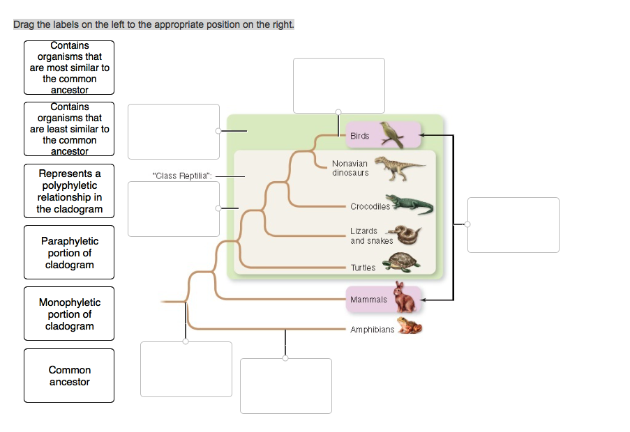 Biology Archive | March 25, 2017 | Chegg.com