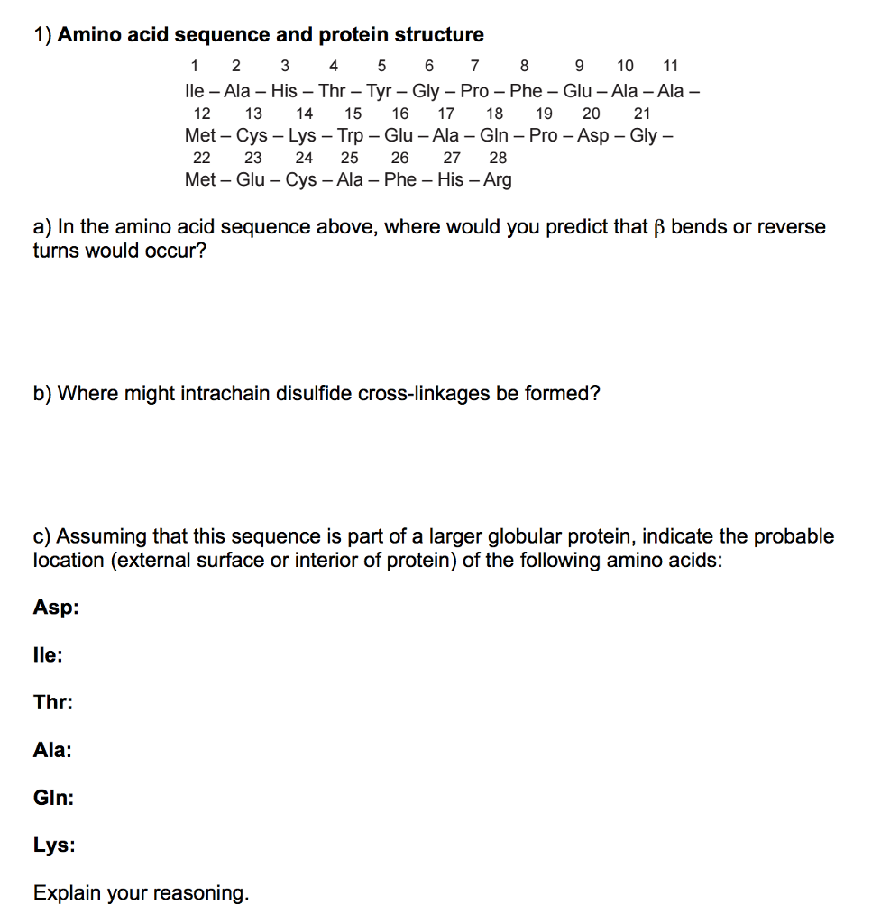 Solved Amino acid sequence and protein structure a) In the | Chegg.com