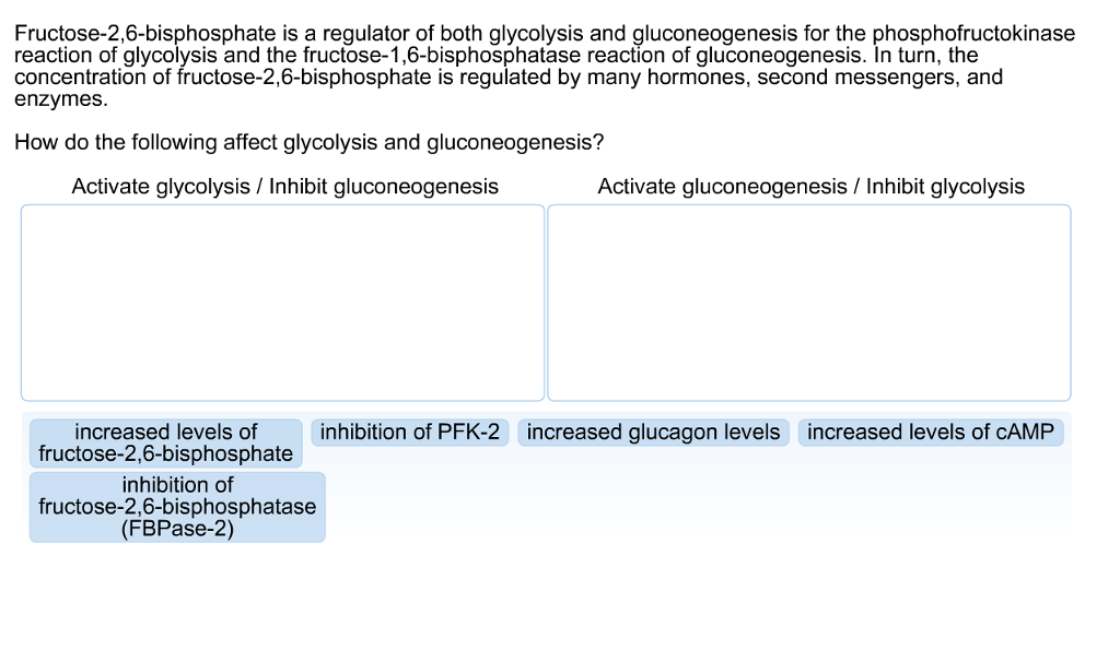 Fructose 2 6 bisphosphate