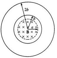 Solved A uniform magnetic field B that is perpendicular to | Chegg.com
