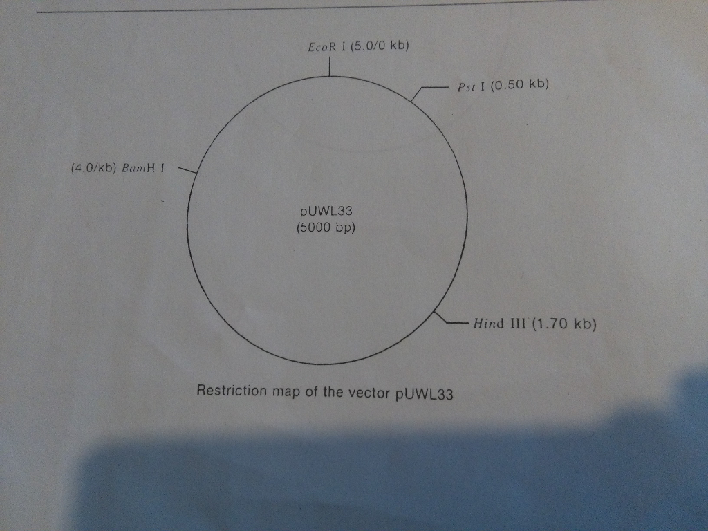 Solved Please help me to solve this question and show me the | Chegg.com
