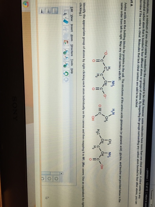 Solved Amino acids are the building blocks for proteins in