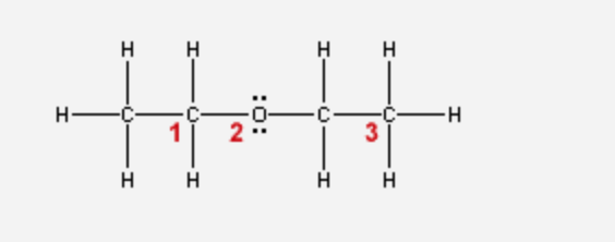 Solved Determine the hybridization of the numbered | Chegg.com