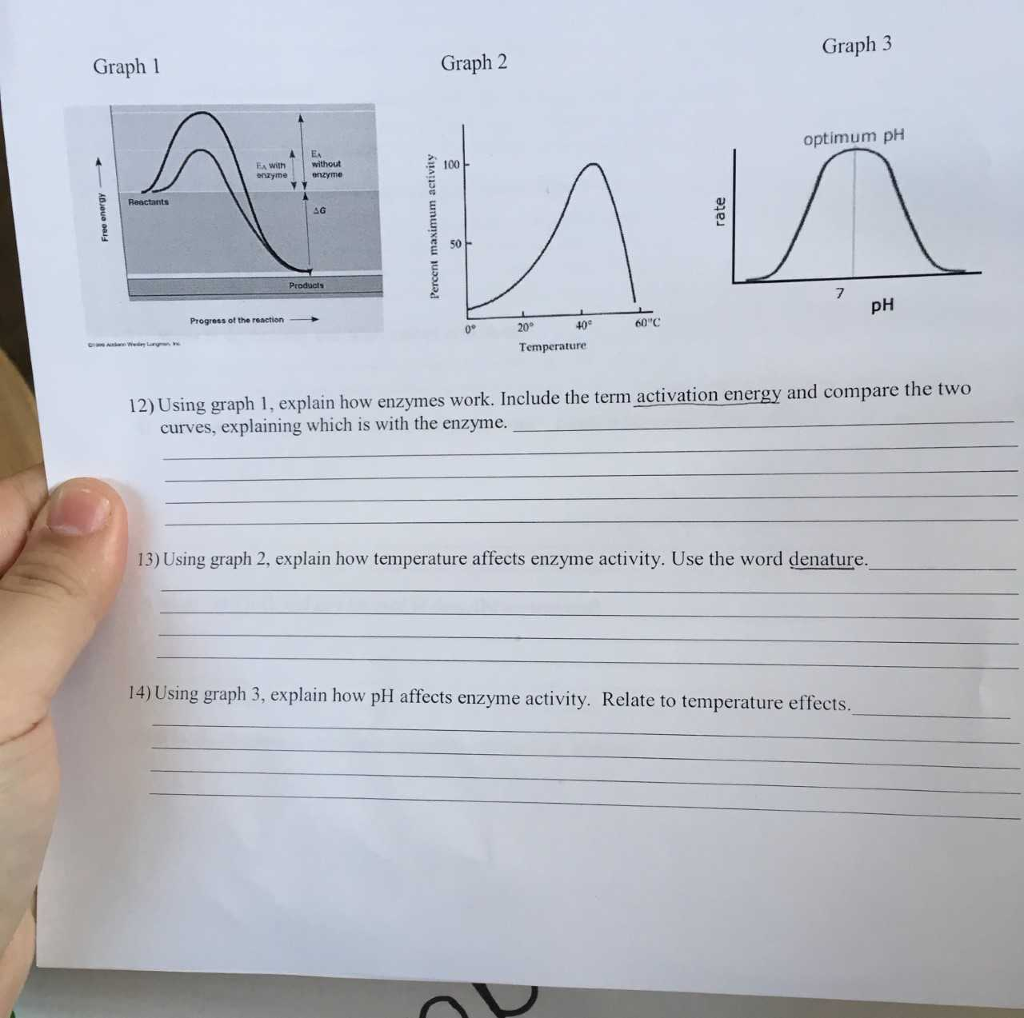 solved-graph-3-graph-1-graph-2-optimum-ph-ae-ea-with-without-chegg