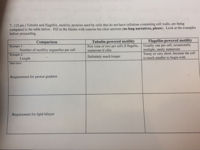 solved-tubulin-and-flagellin-motility-proteins-used-by-chegg