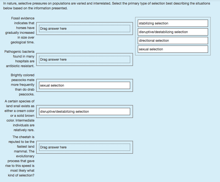 How Do The Data Relate To Selective Pressure And Natural Selection