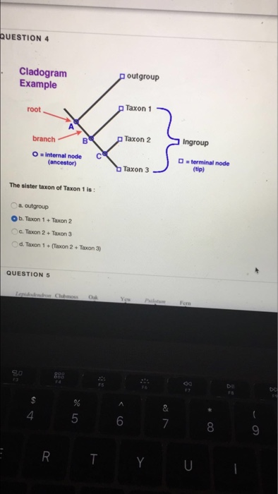 solved-the-sister-taxon-of-taxon-1-is-outgroup-taxon-1-chegg