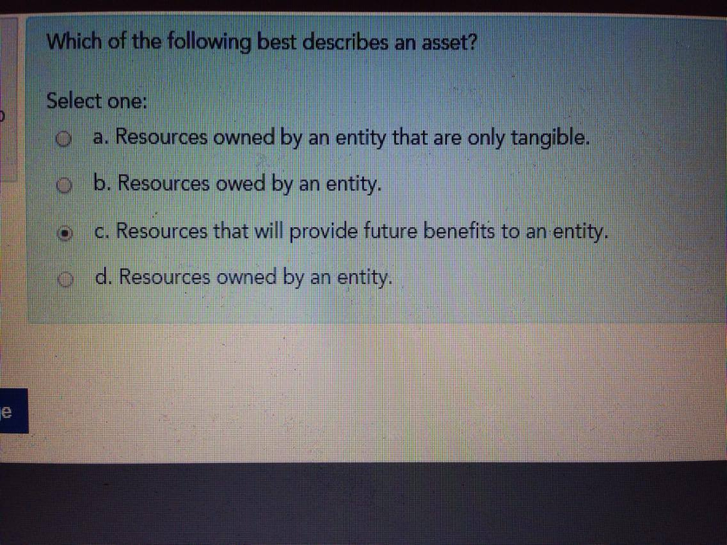 Select the Best Option That Describes Asset Quizlet