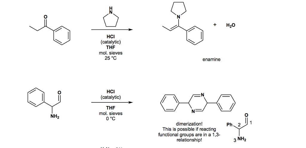 Solved + H20 HCI (catalytic) THF mol. sieves 25 °C enamine | Chegg.com