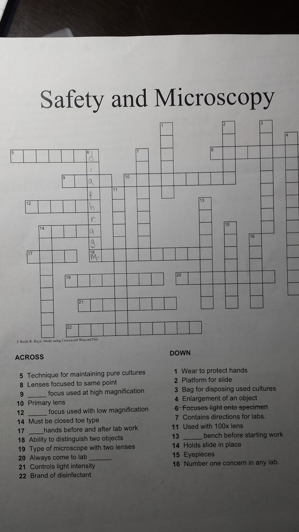 The Microscope Crossword Puzzle : Blank version without word bank 2.
