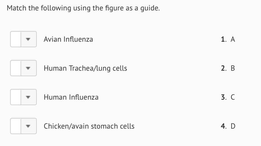 Solved HO CH2OH HO CH2OH A. H OH H OOC O. 13 OH H OH H OOC H
