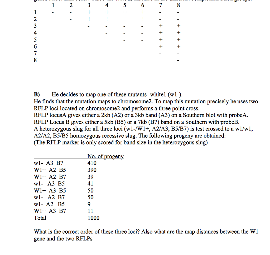 Solved He decides to map one of these mutants- white 1 | Chegg.com
