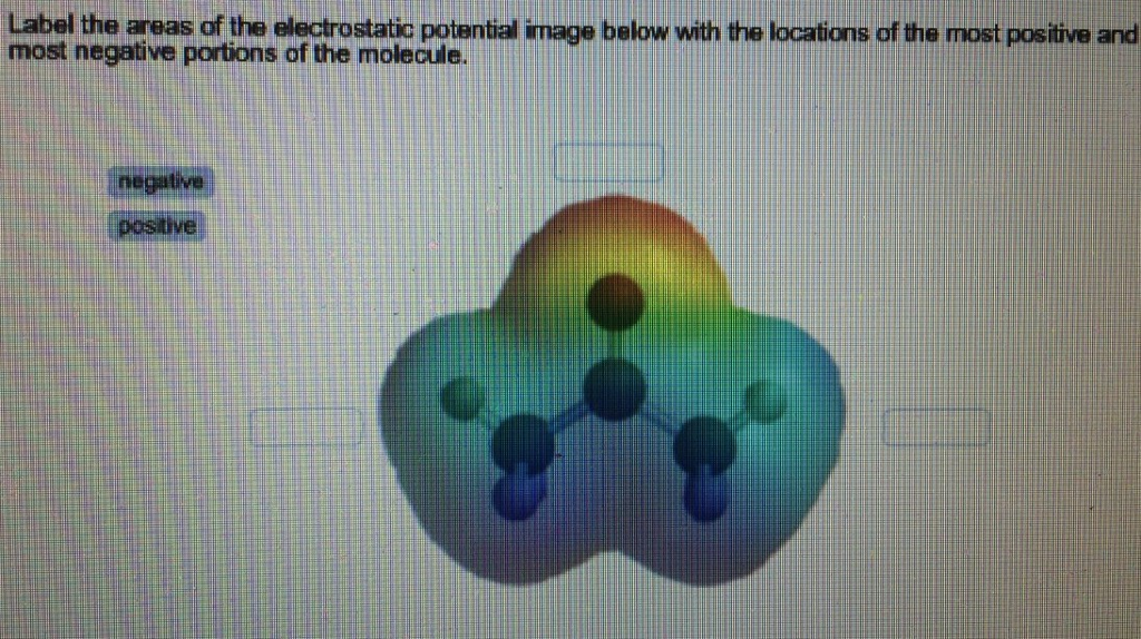 solved-label-the-areas-of-the-electrostatic-potential-image-chegg