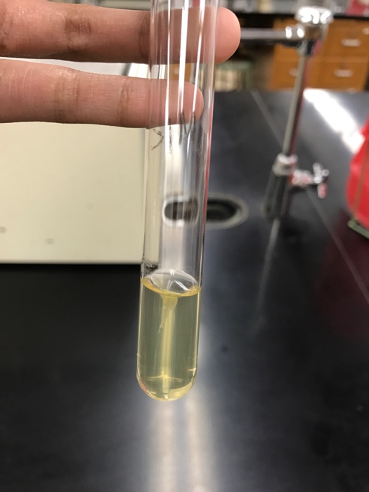 solved-motile-or-non-motile-from-a-positive-cocci-bacteria-chegg