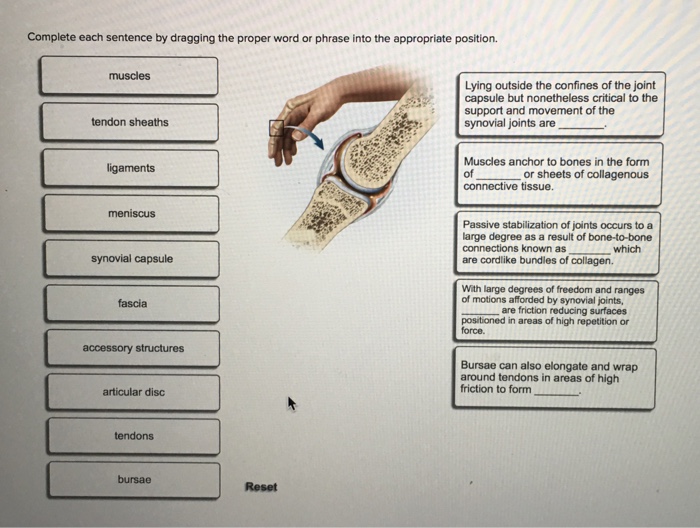 Solved Complete each sentence by dragging the proper word or